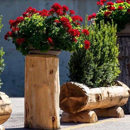 La Truga Hotel Selva di Val Gardena Ngoại thất bức ảnh