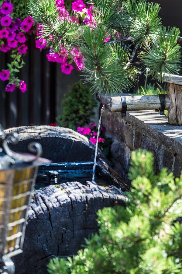 La Truga Hotel Selva di Val Gardena Ngoại thất bức ảnh