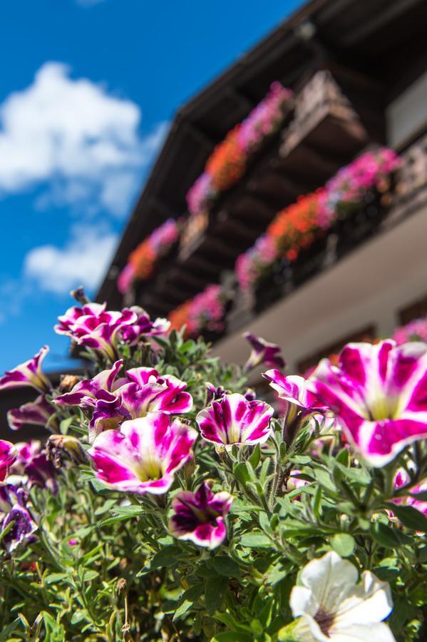 La Truga Hotel Selva di Val Gardena Ngoại thất bức ảnh