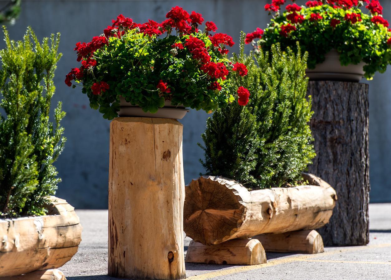 La Truga Hotel Selva di Val Gardena Ngoại thất bức ảnh