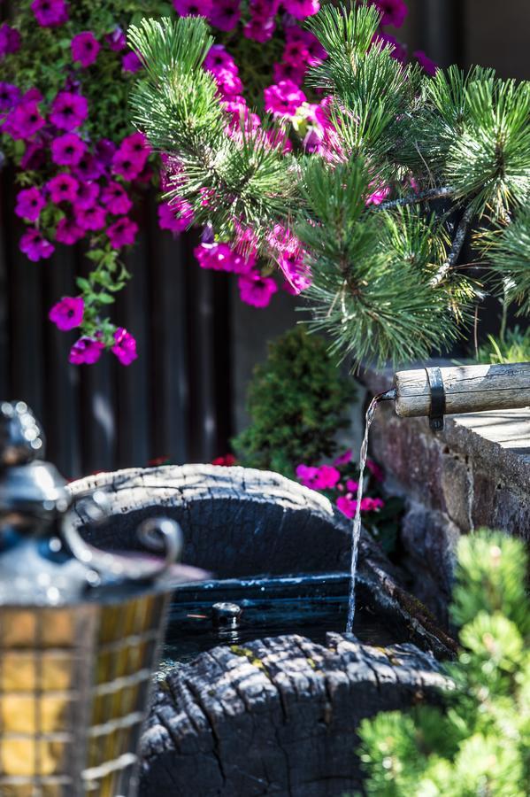 La Truga Hotel Selva di Val Gardena Ngoại thất bức ảnh